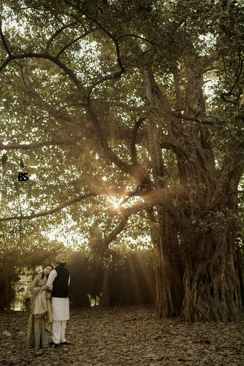Couple embraced beside an old banyan tree