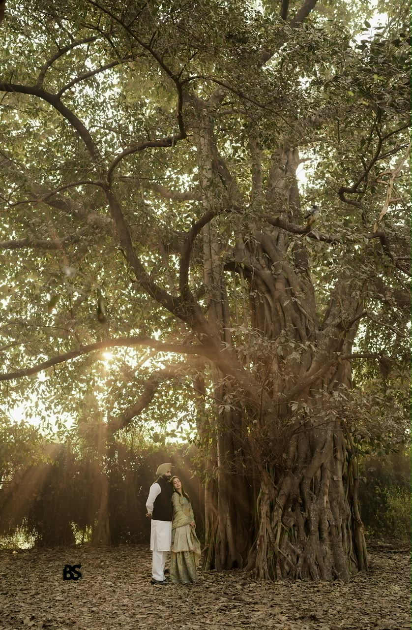 Couple standing beneath a monumental banyan tree