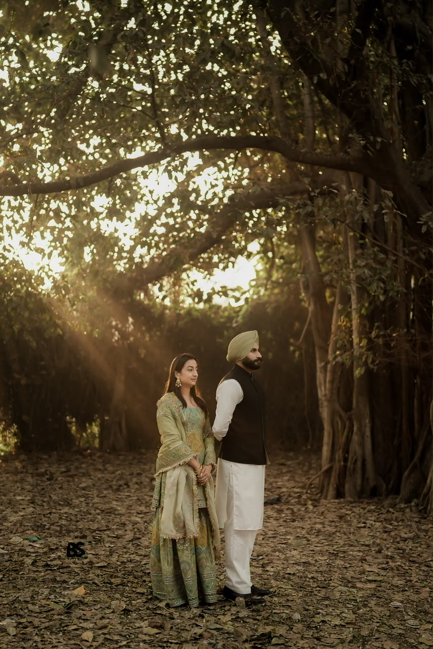 Couple posed beneath warm woodland light